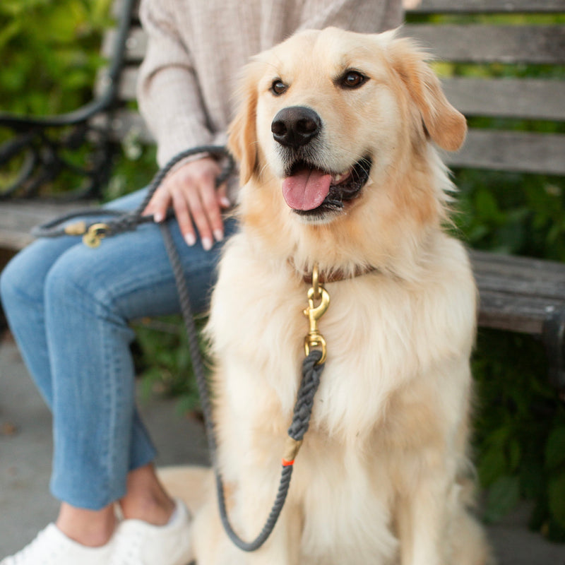 Ramble Rope Leash